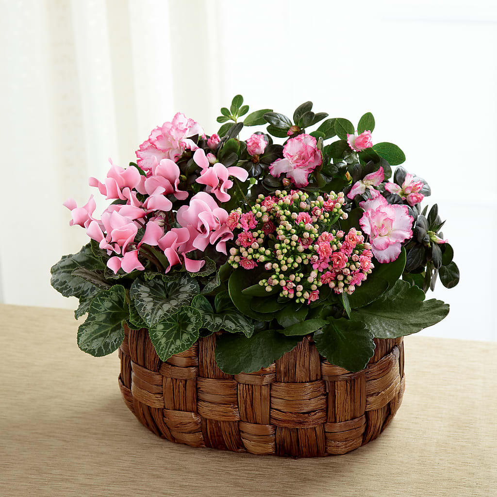 Pink Assortment – CARLOS BLOOMS & EVENTS, Garnerville NY