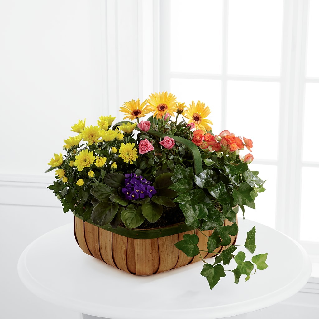 Gentle Blossoms Basket – CARLOS BLOOMS & EVENTS, Garnerville NY