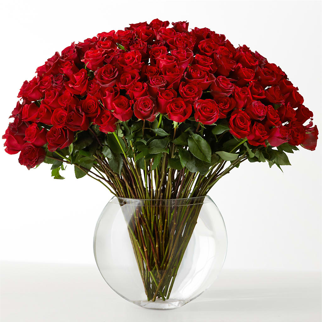 The Idealist – CARLOS BLOOMS & EVENTS, Garnerville NY