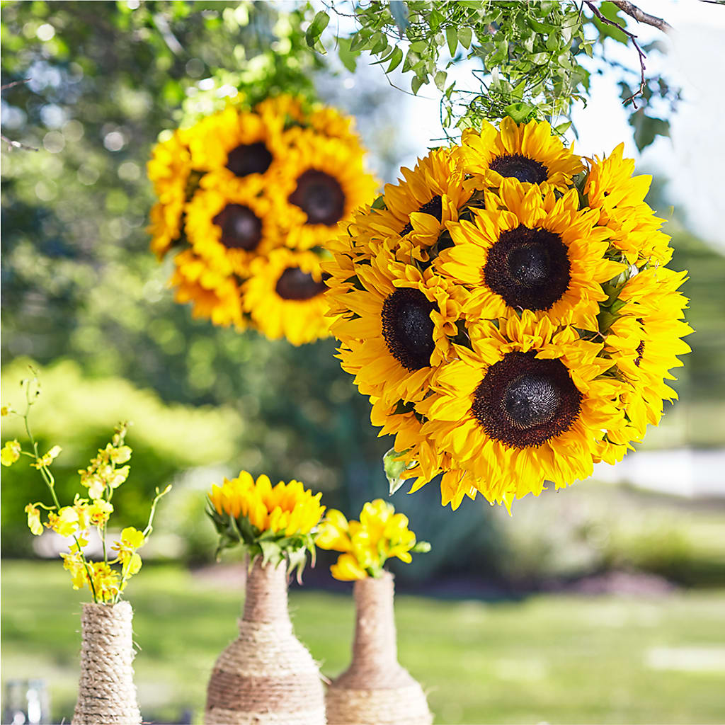 Sublime Garden Hanging Arrangement – CARLOS BLOOMS & EVENTS, Garnerville NY