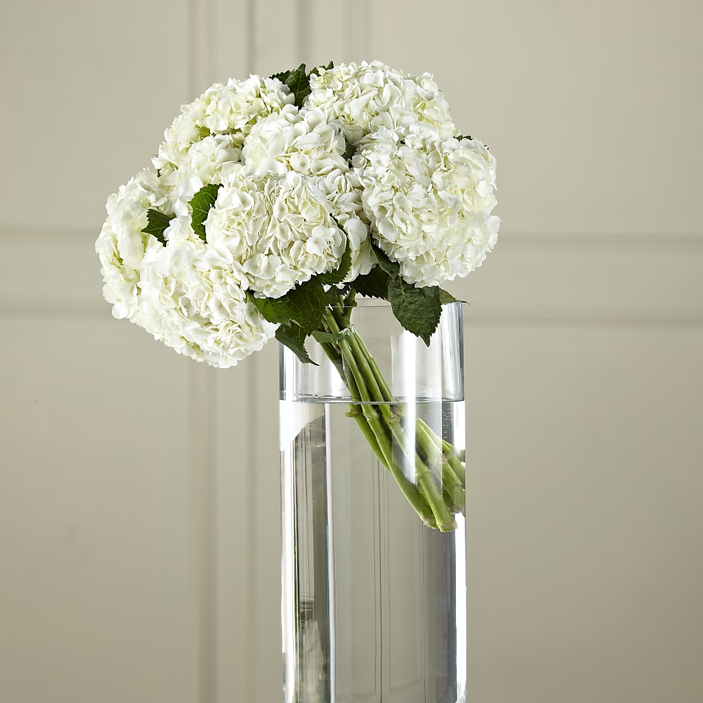 White Hydrangea Hand-Tied Bouquet – CARLOS BLOOMS & EVENTS, Garnerville NY