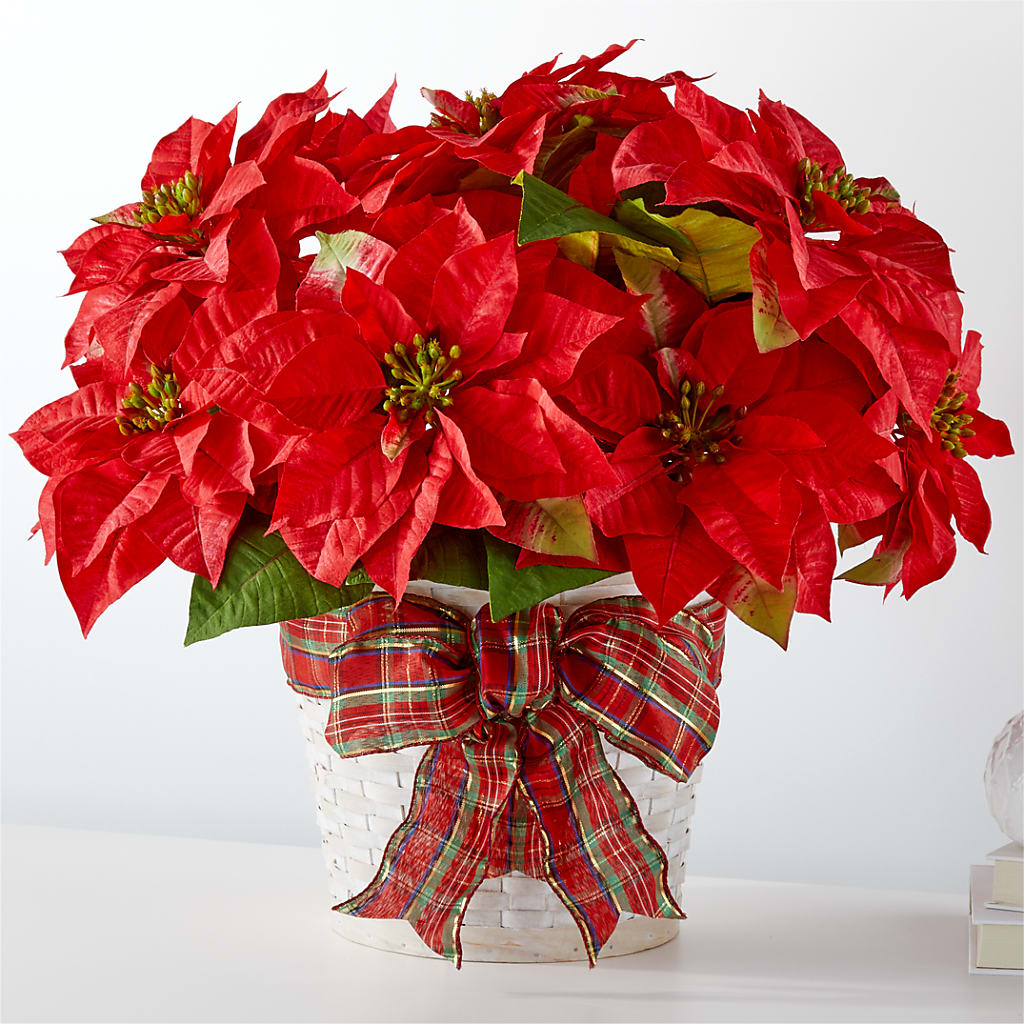 Happiest Holidays Poinsettia – CARLOS BLOOMS & EVENTS, Garnerville NY