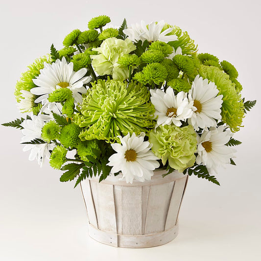Lucky Charm Basket (Standard) – CARLOS BLOOMS & EVENTS, Garnerville NY
