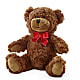 Adorable Plush Bear – CARLOS BLOOMS & EVENTS, Garnerville NY