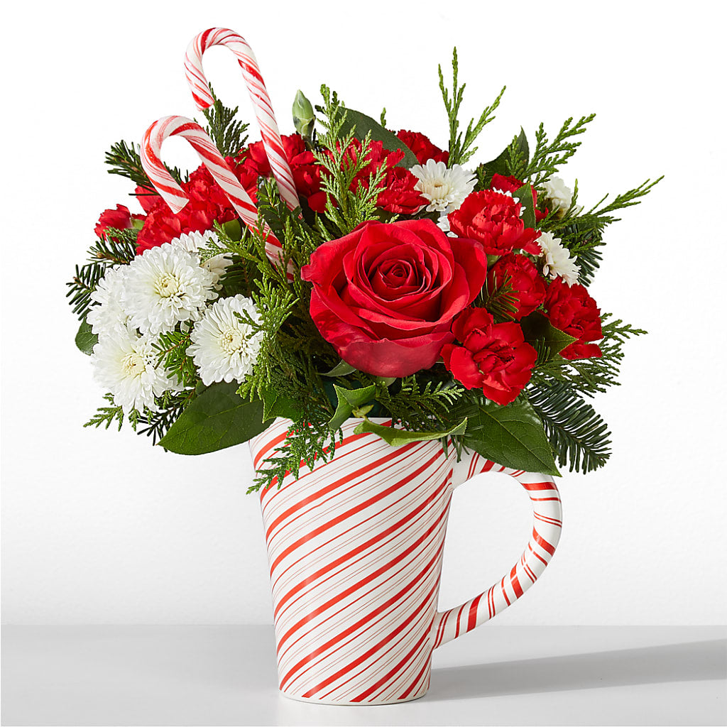 Peppermint Swirl Mug – CARLOS BLOOMS & EVENTS, Garnerville NY