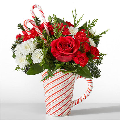 Peppermint Swirl Mug – CARLOS BLOOMS & EVENTS, Garnerville NY