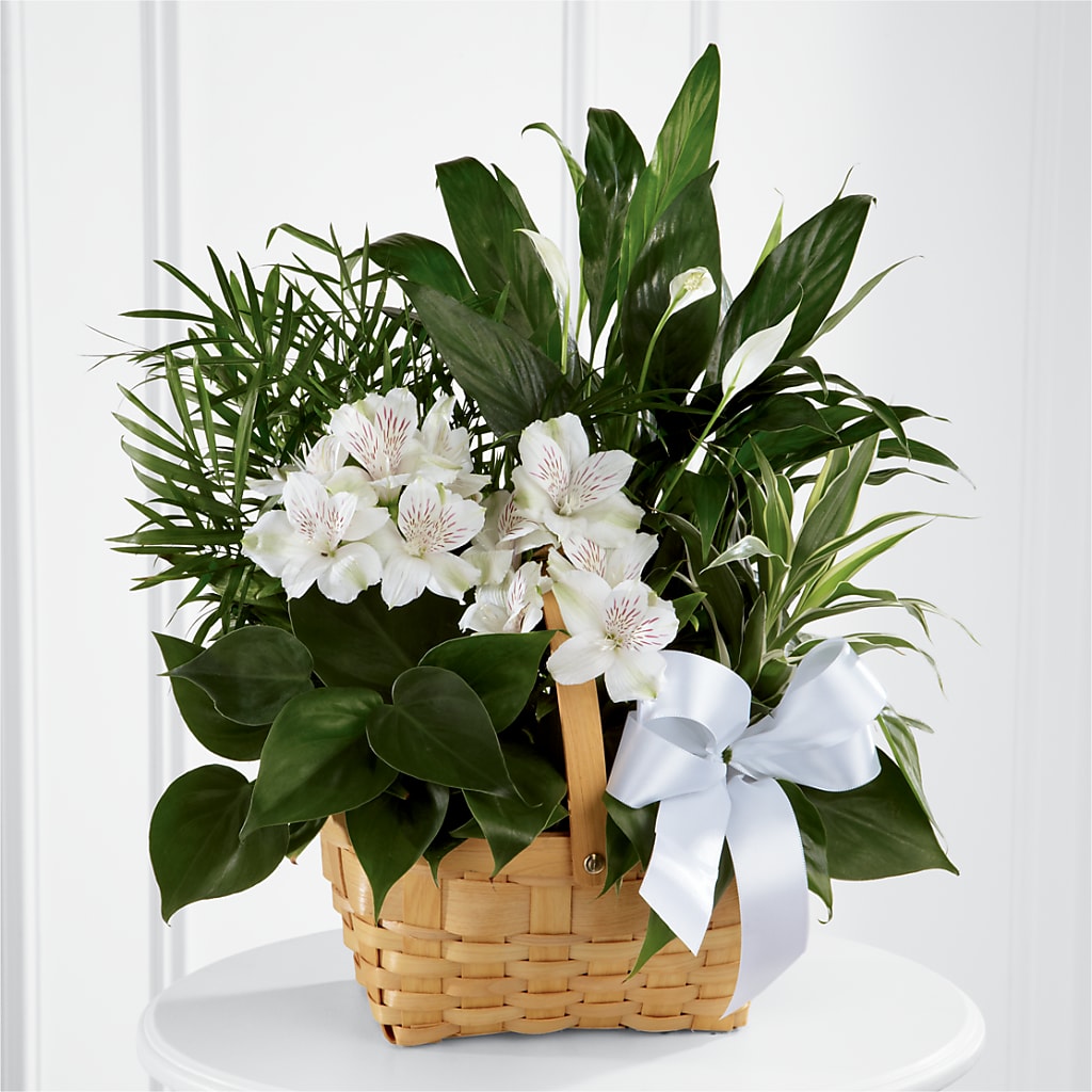 Peace & Serenity Dishgarden – CARLOS BLOOMS & EVENTS, Garnerville NY