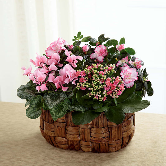 Pink Assortment – CARLOS BLOOMS & EVENTS, Garnerville NY