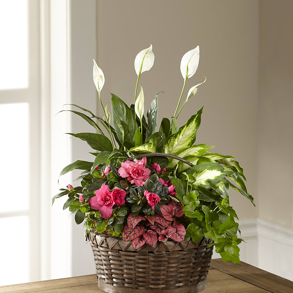Dream in Pink Dishgarden – CARLOS BLOOMS & EVENTS, Garnerville NY