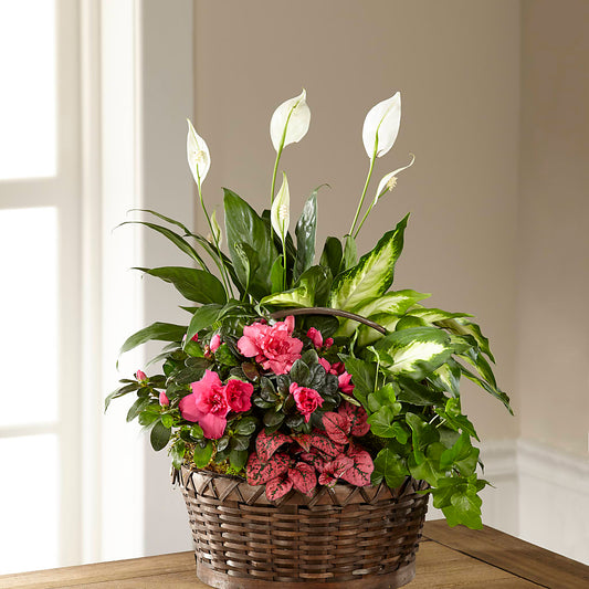 Dream in Pink Dishgarden – CARLOS BLOOMS & EVENTS, Garnerville NY