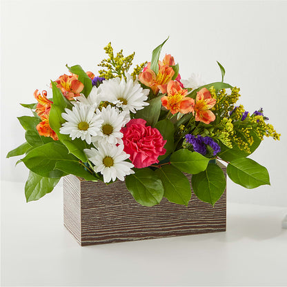 Oopsie Daisy Box Bouquet – CARLOS BLOOMS & EVENTS, Garnerville NY