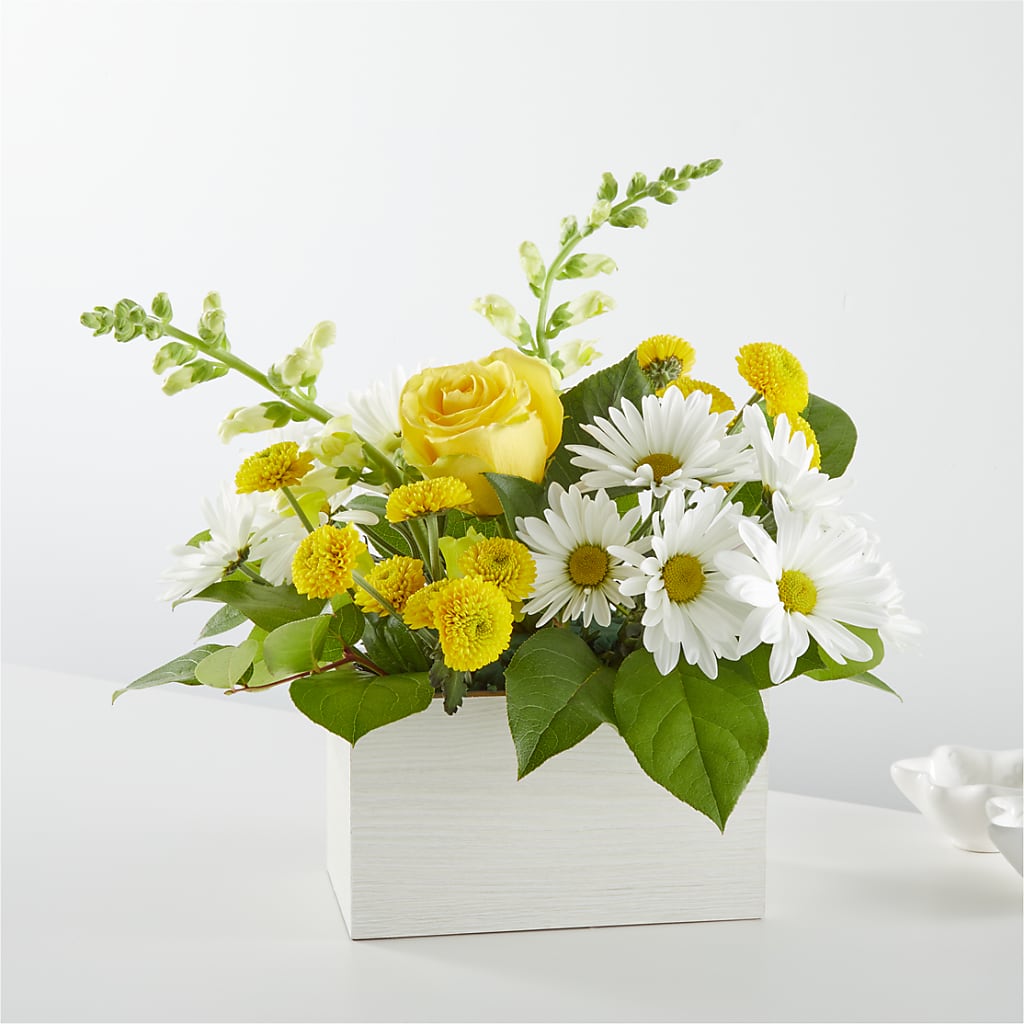 Sun Salutation Box Bouquet – CARLOS BLOOMS & EVENTS, Garnerville NY
