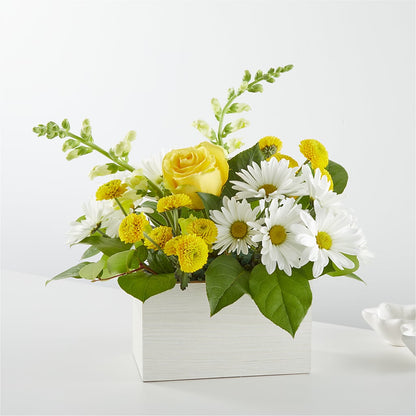 Sun Salutation Box Bouquet – CARLOS BLOOMS & EVENTS, Garnerville NY