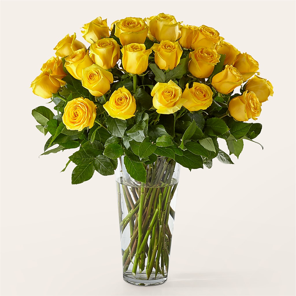Long Stem Yellow Rose Bouquet – CARLOS BLOOMS & EVENTS, Garnerville NY