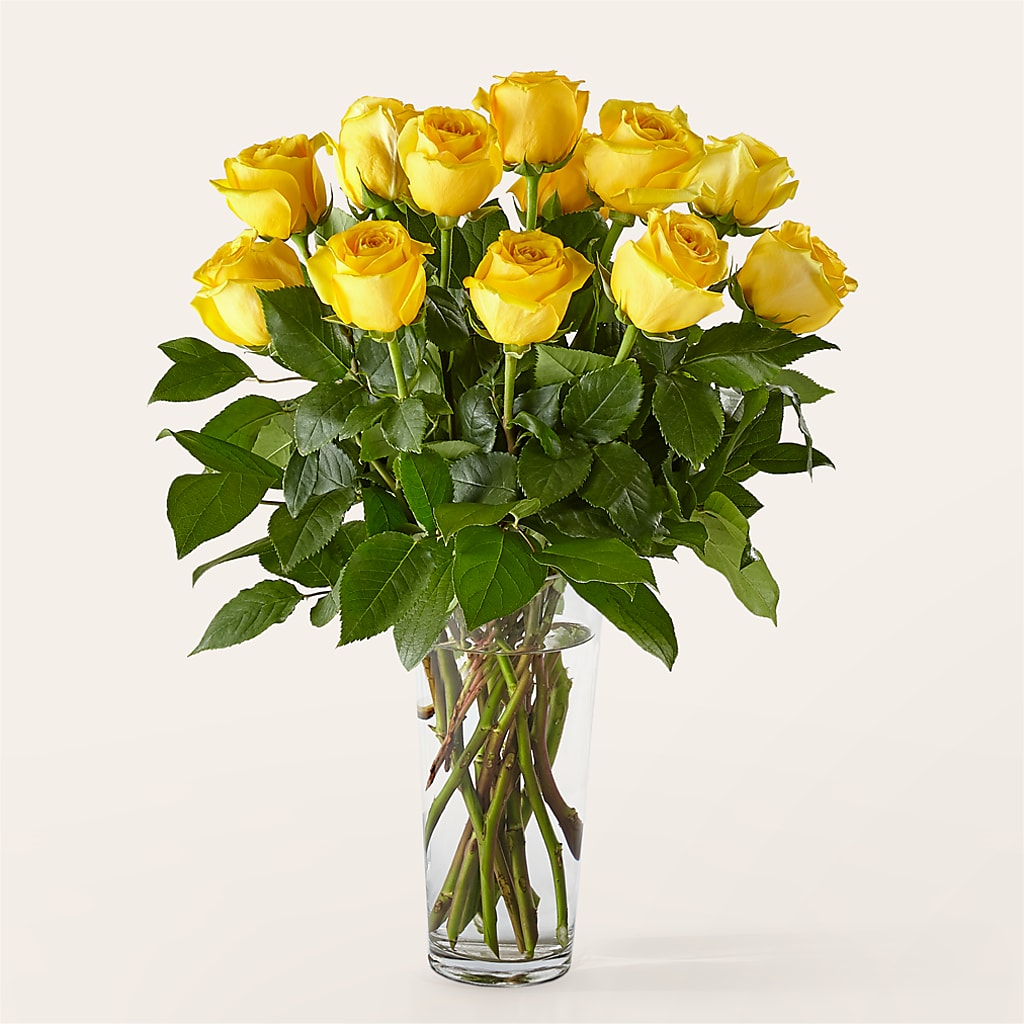 Long Stem Yellow Rose Bouquet – CARLOS BLOOMS & EVENTS, Garnerville NY