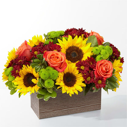 Happy Harvest Garden – CARLOS BLOOMS & EVENTS, Garnerville NY