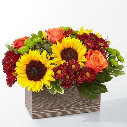 Happy Harvest Garden – CARLOS BLOOMS & EVENTS, Garnerville NY