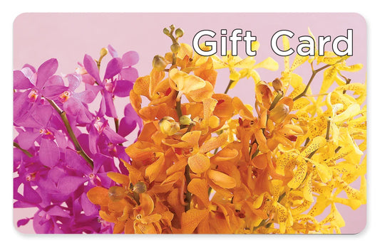Gift Card – CARLOS BLOOMS & EVENTS, Garnerville NY