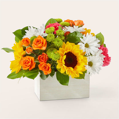 Sun-drenched Blooms Box Bouquet – CARLOS BLOOMS & EVENTS, Garnerville NY