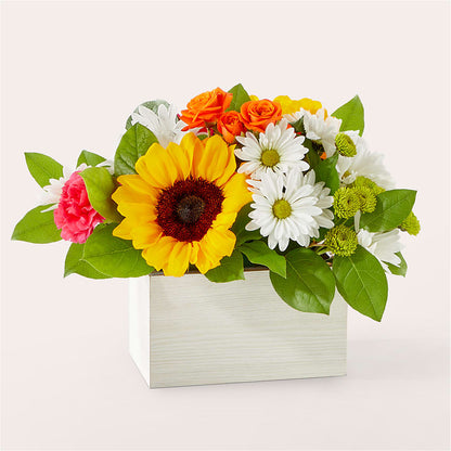 Sun-drenched Blooms Box Bouquet – CARLOS BLOOMS & EVENTS, Garnerville NY