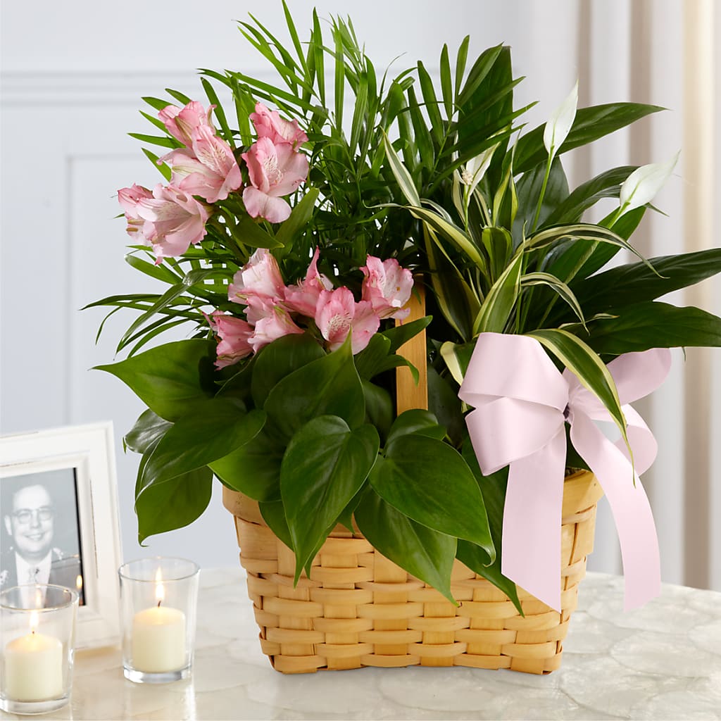 Living Spirit Dishgarden – CARLOS BLOOMS & EVENTS, Garnerville NY