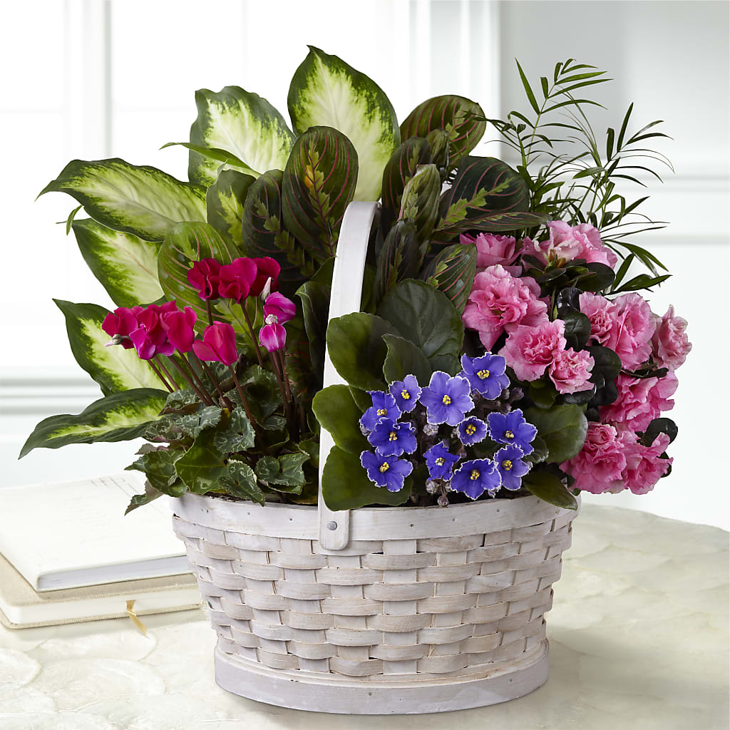 Peaceful Garden Planter – CARLOS BLOOMS & EVENTS, Garnerville NY
