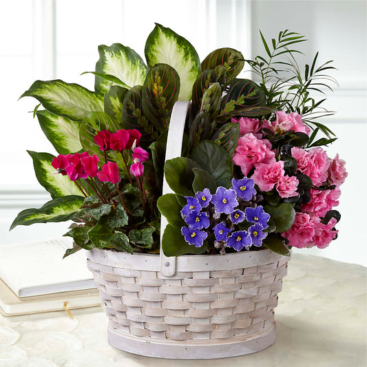 Peaceful Garden Planter – CARLOS BLOOMS & EVENTS, Garnerville NY