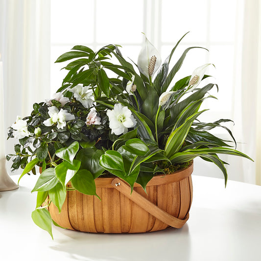 Serene Dishgarden – CARLOS BLOOMS & EVENTS, Garnerville NY