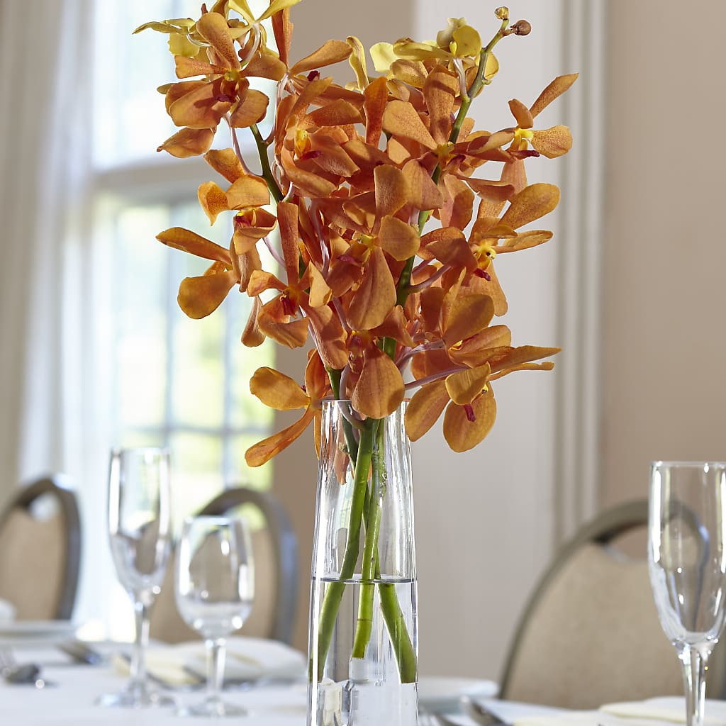 Orange Mokara Bud Vase – CARLOS BLOOMS & EVENTS, Garnerville NY