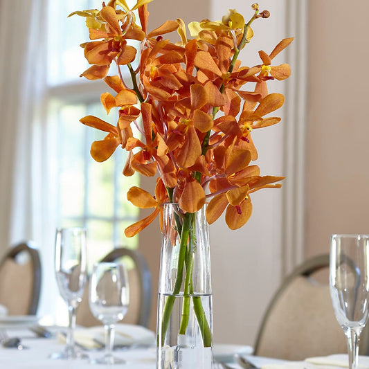 Orange Mokara Bud Vase – CARLOS BLOOMS & EVENTS, Garnerville NY