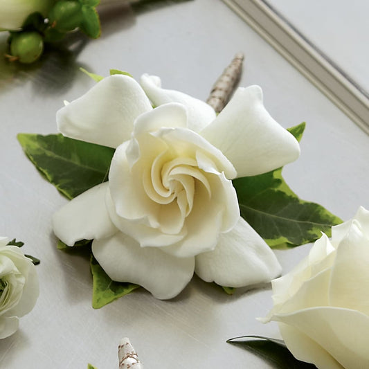Gardenia Boutonniere – CARLOS BLOOMS & EVENTS, Garnerville NY