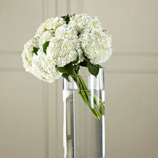 White Hydrangea Hand-Tied Bouquet – CARLOS BLOOMS & EVENTS, Garnerville NY