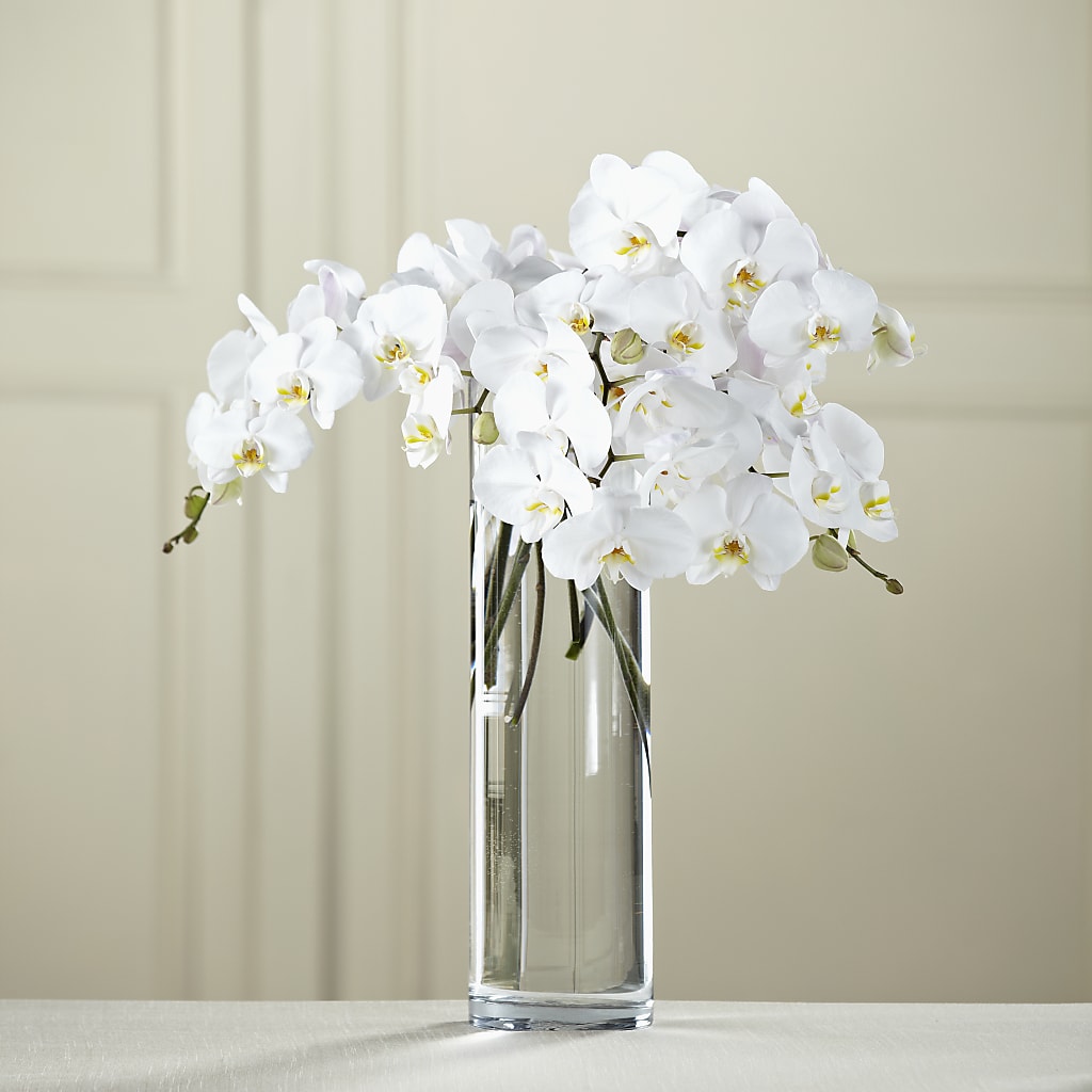 White Phalaenopsis Bouquet – CARLOS BLOOMS & EVENTS, Garnerville NY