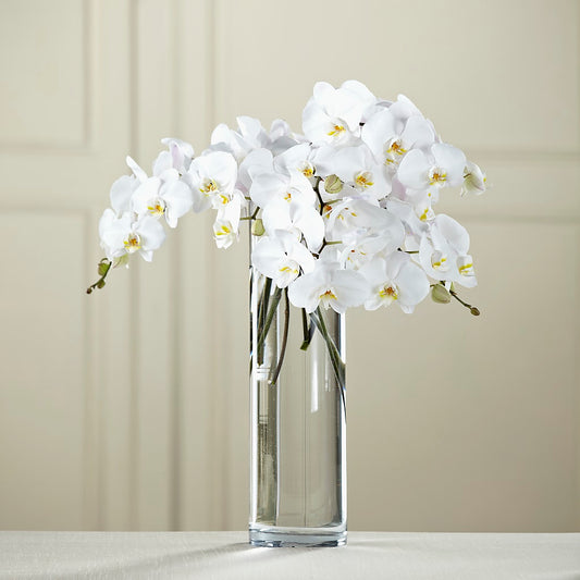 White Phalaenopsis Bouquet – CARLOS BLOOMS & EVENTS, Garnerville NY