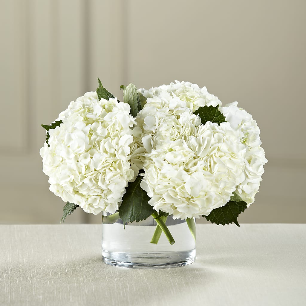 White Hydrangea Bouquet – CARLOS BLOOMS & EVENTS, Garnerville NY