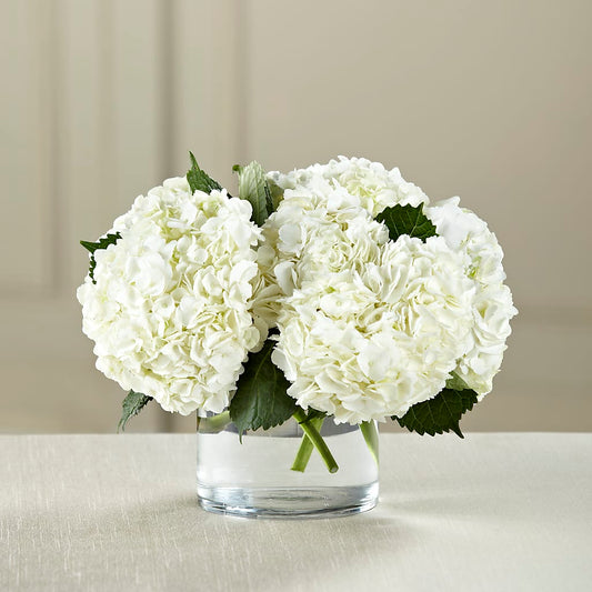 White Hydrangea Bouquet – CARLOS BLOOMS & EVENTS, Garnerville NY