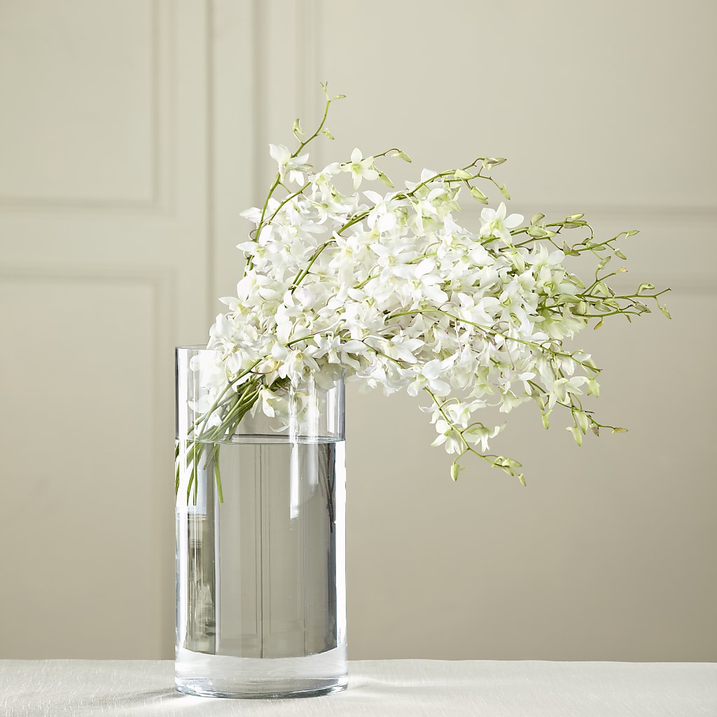 White Dendrobium Bouquet – CARLOS BLOOMS & EVENTS, Garnerville NY